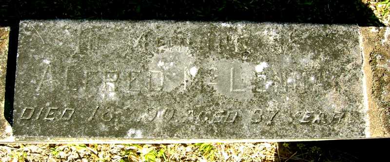 Photo of headstones/Alfred McLennan d1890 hdstn Wollombi